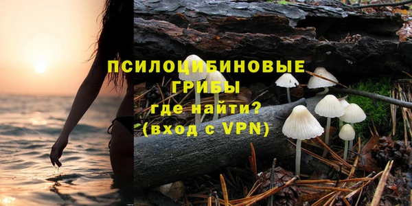 бошки Алексеевка